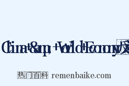 China+&amp;+World+Economy反义词是什么意思的图片
